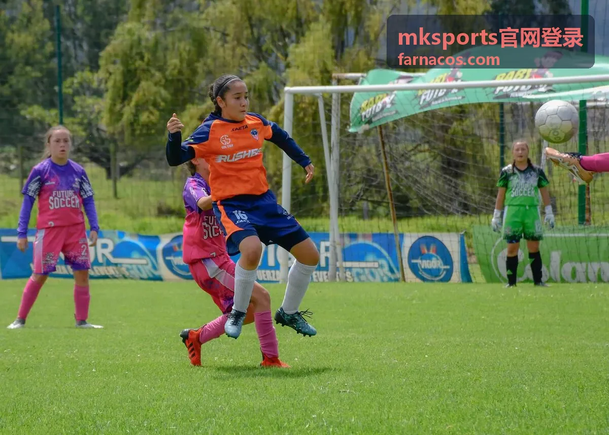 mksports官网登录入口识别与页面核对示意